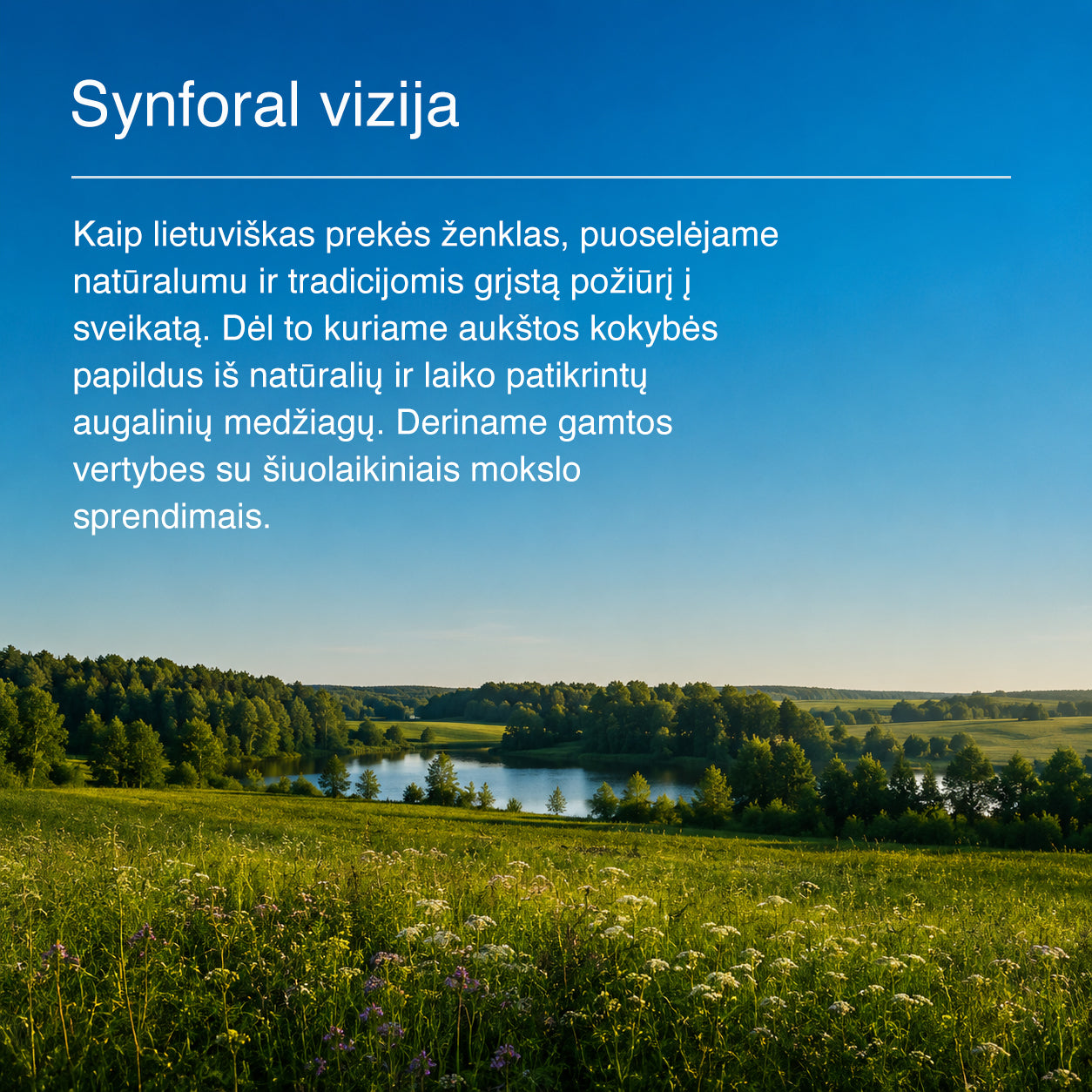 Ašvaganda