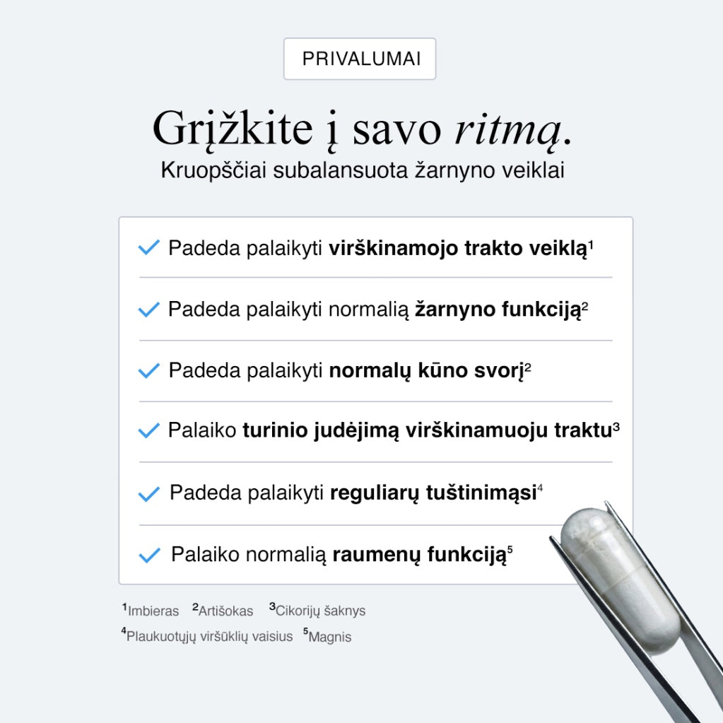 Žarnynas