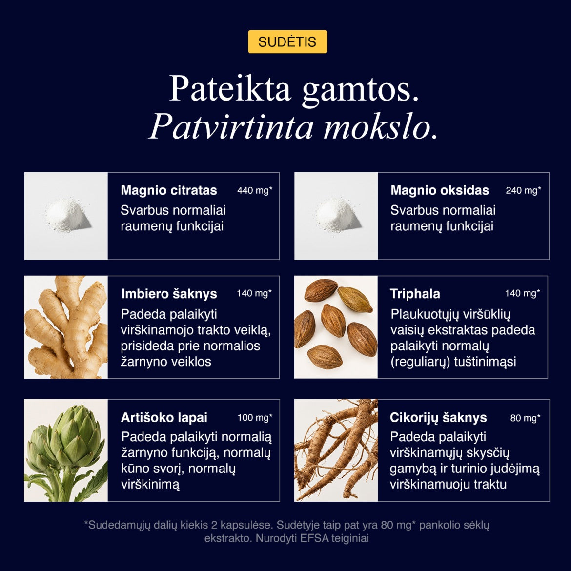 Žarnynas
