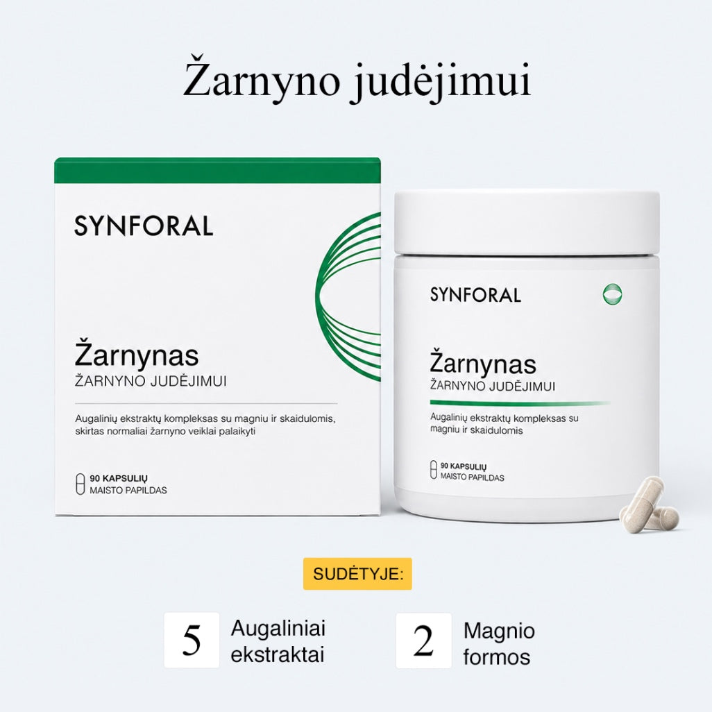 Žarnynas