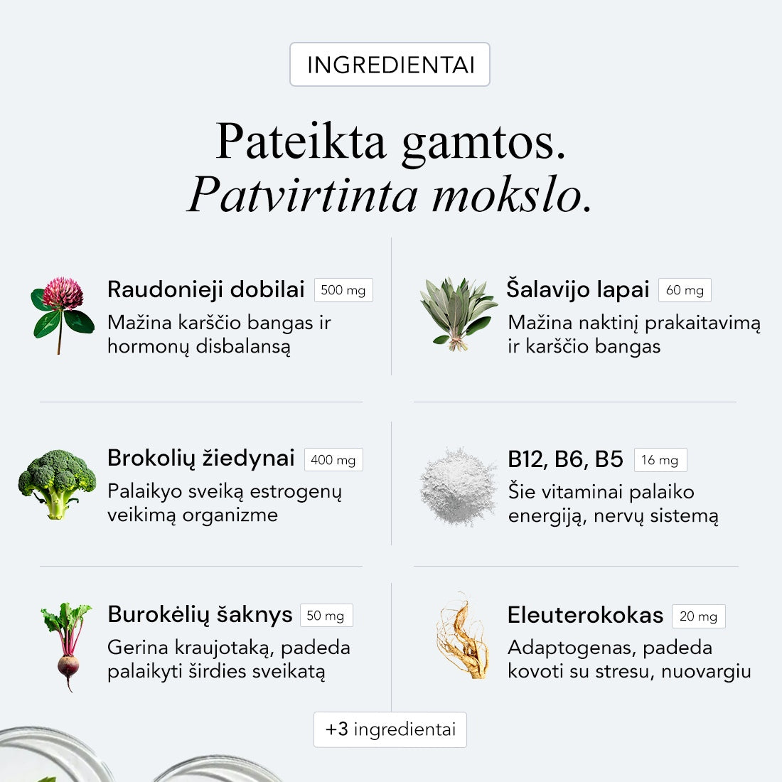 Menopauzė