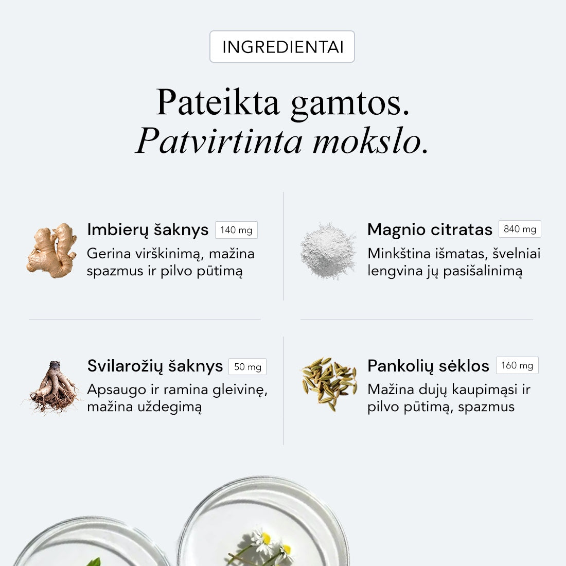 Žarnynas