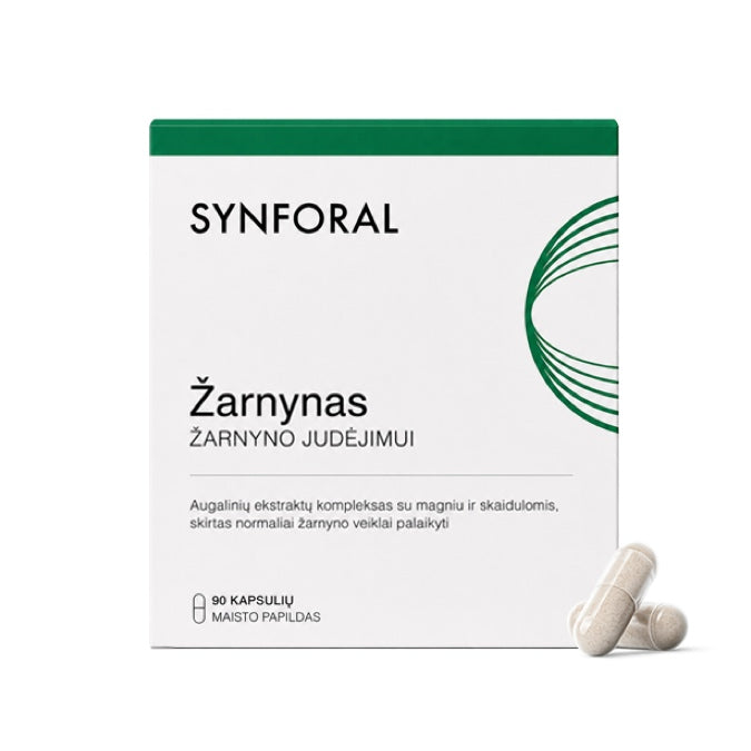Žarnynas